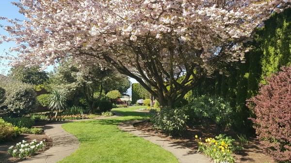 Absolutely beautiful fields and show garden!