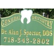 About Dr. Spector Born in Brooklyn, Dr. Spector grew up in Floral Park, Queens. He graduated from Martin van Buren High Schoo...