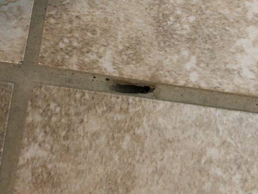 Holes in the grout after "repair"