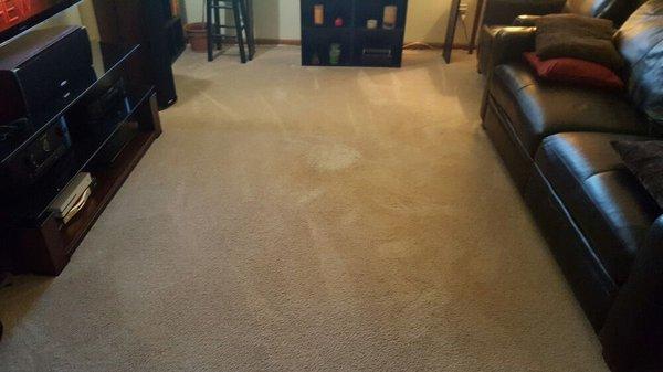 Homeowner had a few houseplanrs spill...big mess. This is the before photo.