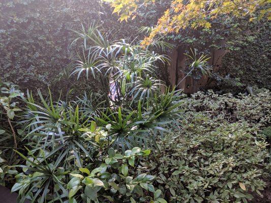 Mary Ramsay Secret Courtyard