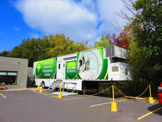 VREC is the only on-site MRI unit in the region, providing pet parents integrated care when their furry family members need it most.