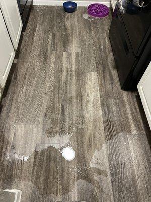 Kitchen floor