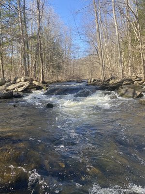 Saugatuck Falls