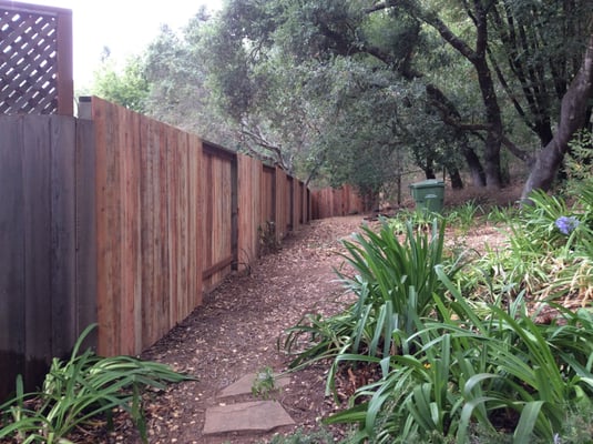 AFTER:  Our gorgeous new fence from DiFranco gate and fence company.  We could not be happier!!! :)