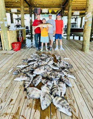 Sheepshead and Redfish Fishing Charter