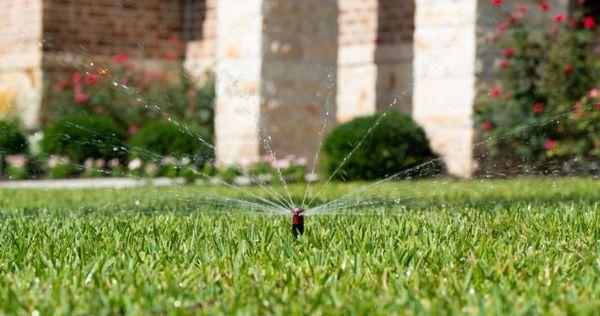 Sprinkler/Irrigation Systems