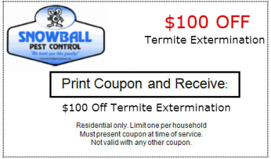 $100 off Termite Extermination