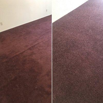 Before and after. The home owner could not even recognize their previously loose and matted carpet!