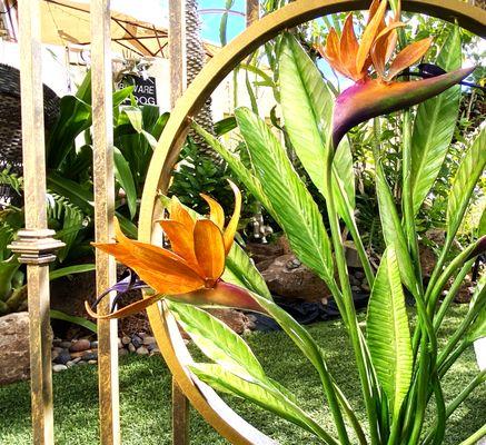 Handmade 3-dimensional bird of paradise flowers and leaves casting its realistic radiant colors.