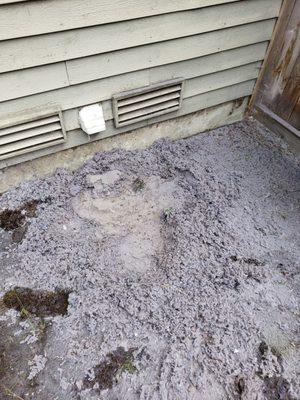 Dryer Vent Cleaning service. Just wow!