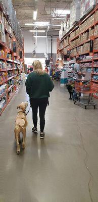 Charlie and his owner practicing ignoring other dogs and people while at Home Depot during a private 1 on 1 lesson!