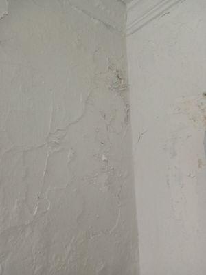 Paint peeling from mold