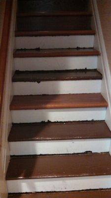 old stairs treads and risers