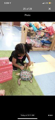 Her playing with toys from daycare