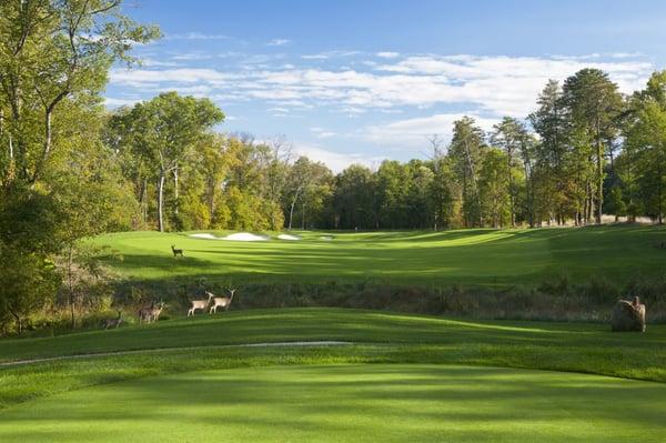 The Golf Club at Lansdowne