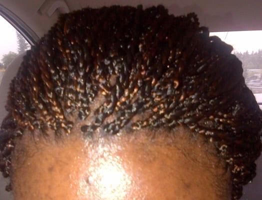 Senegalese Twist