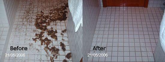 A Before & After of our work