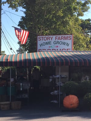 Fall at farm stand