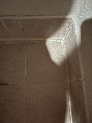 Bathroom floor