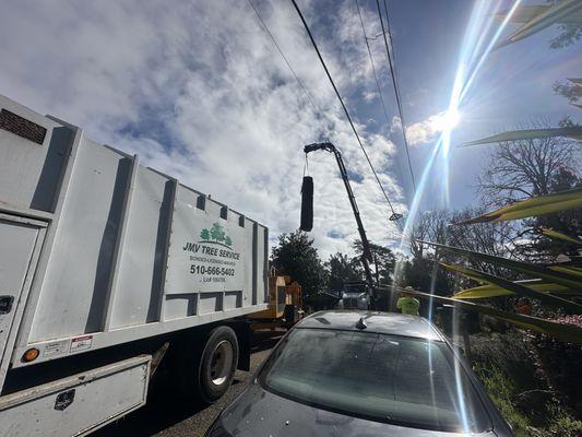 EMERGENCY TREE REMOVAL 24/7 Response.