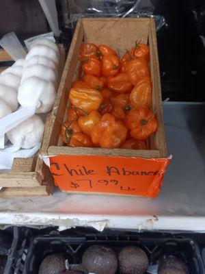 Habanero peppers