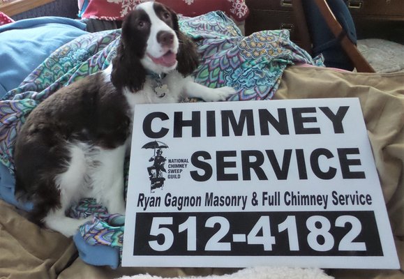 Our Springer Spaniel Says It All--We are One Very Satisfied Customer this Ground Hog Day Feb 2, 2017!