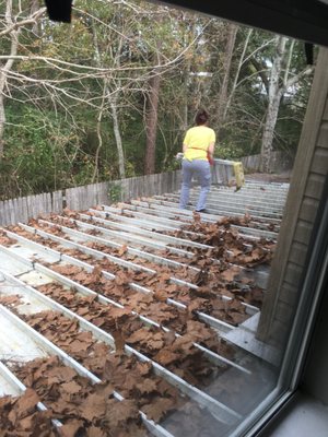 The second woman climbing across the roof of my next door neighbors' home to get to the middle one.