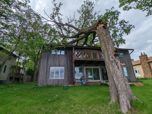 Fallen Boxelder Tree, removed with a crane from the roof.  Shoreview MN