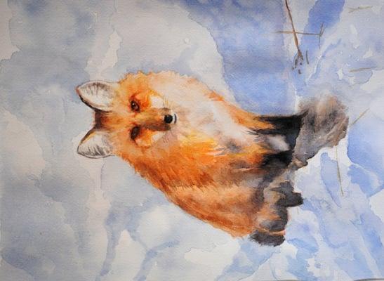 Fox in winter. Ramona Frames & Art Supplies.