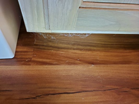 Cobwebs- asked specifically to clean under edge of cabinets