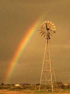 Spring Branch Water Well Service Inc West Texas Division