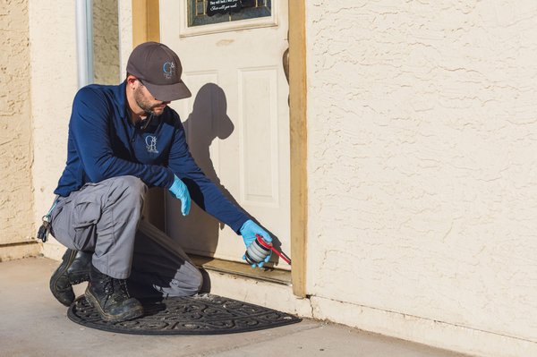 Residential and Commercial Pest Control Services in San Tan Valley and Queen Creek, AZ and Surrounding Cities