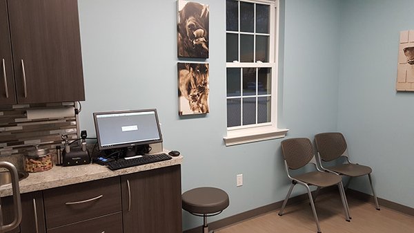 Dog exam room