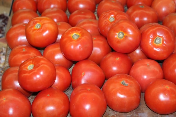 Fresh Tomatos