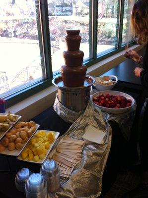 Chocolate Fountain