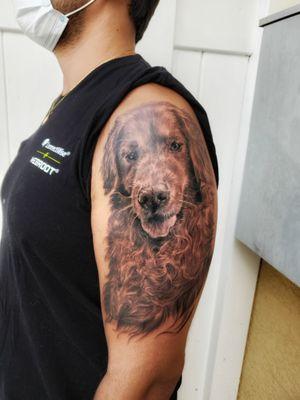 Golden Memorial dog tattoo black and gray.