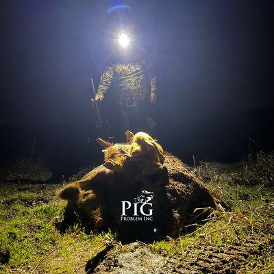 Photo: Pig Problem Inc. Pig Pile