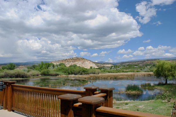 View from Deck