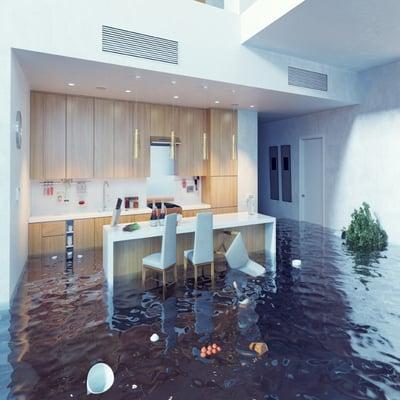 Professional Water Damage Restoration in Alaska Anchorage