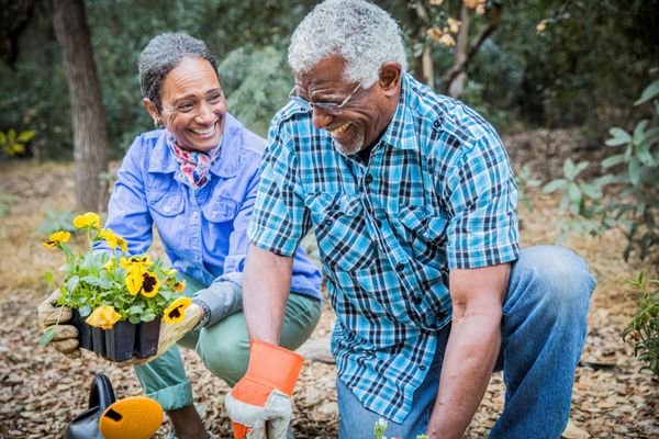 Del Valle Landscaping