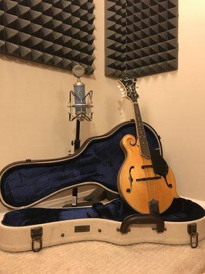 Our Mandolin and Bluebird Mic make a great pairing for folk artists