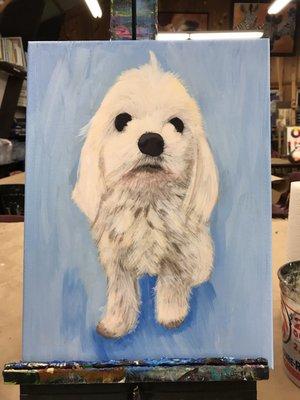 From the Pet Portrait Between the Brushes