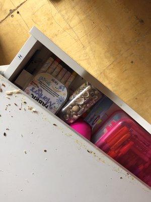 Mouse droppings and damage within zippyshell/ 1800 packrat container found upon delivery