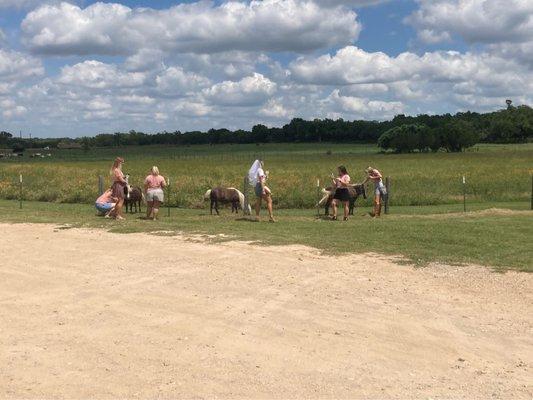 And we got to pet miniature horses!