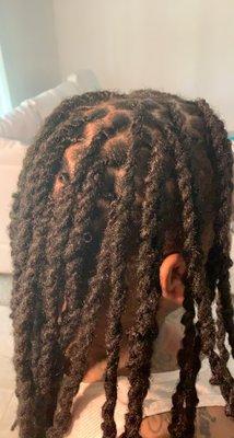 Two strand twist style