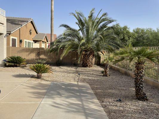 Az Elite Landscaping and maintenance