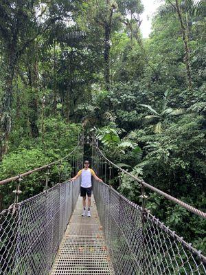 Hanging bridges