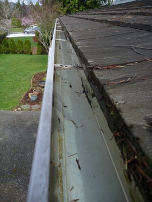 Cleared Gutter