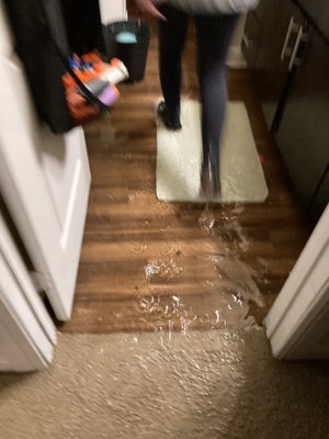 Inches of water in our unit which they did not remove for days.